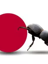 Sho Konishi Symbiotic Modern Talk